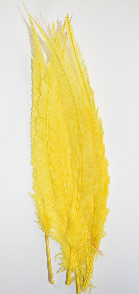 Nandu Ostrich Feathers 18 inch - Yellow image