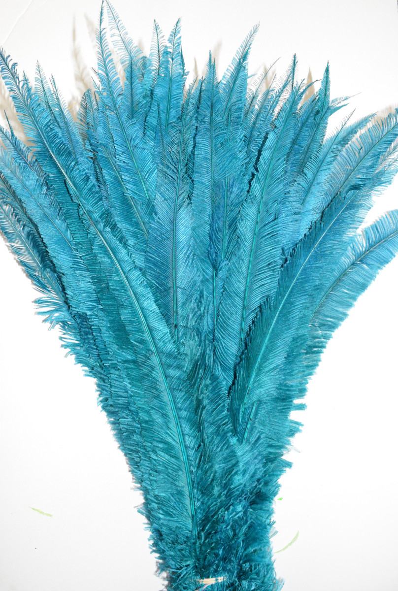 Nandu Ostrich Feathers 18 inch - Dark Teal
