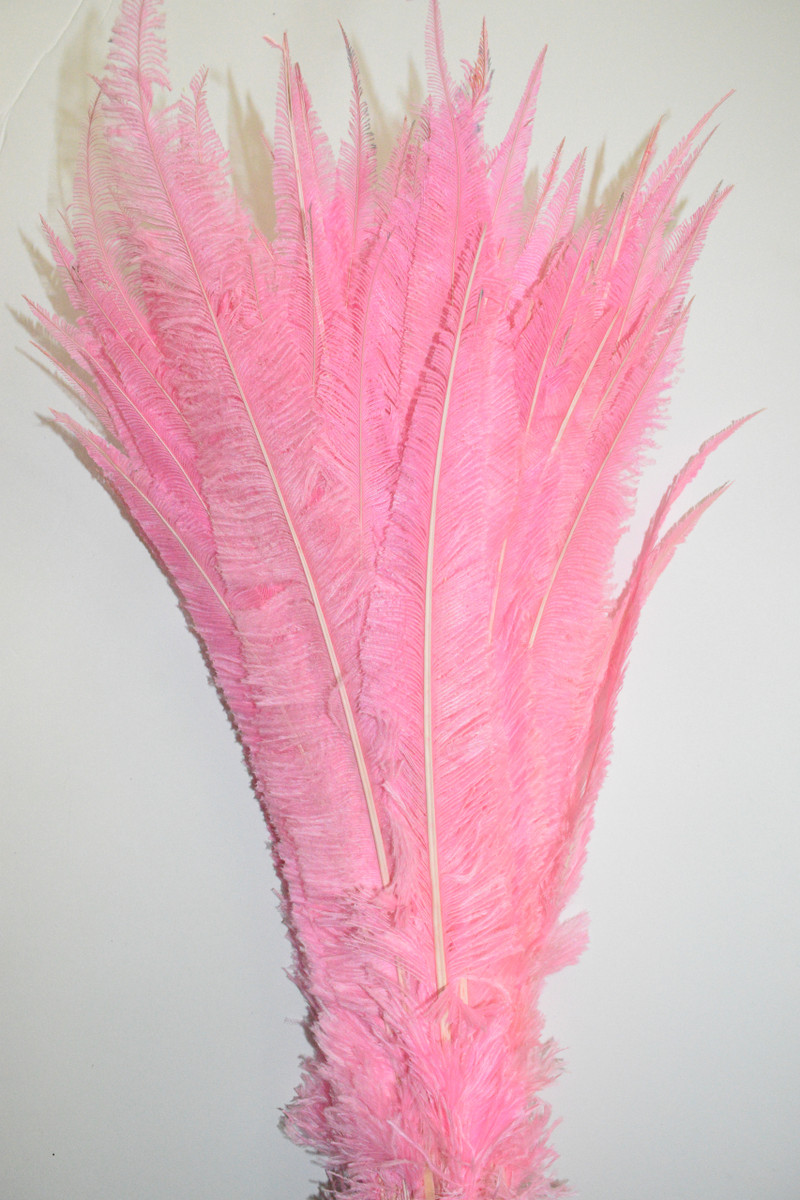 Nandu Ostrich Feathers 18 inch - Light Pink image